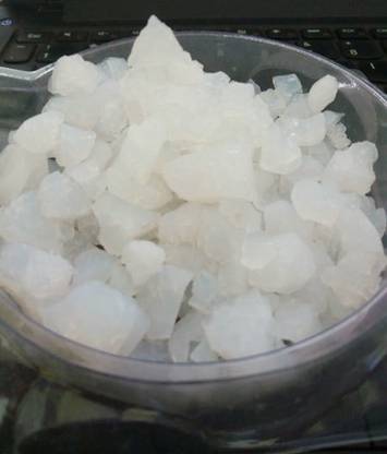 kotaliya Banslochan Seed
