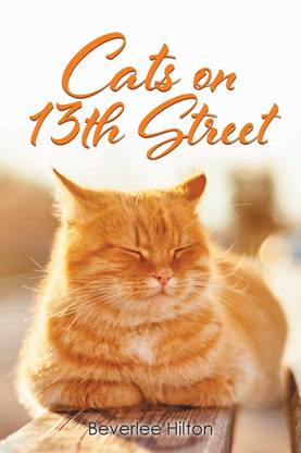 Cats on 13th Street