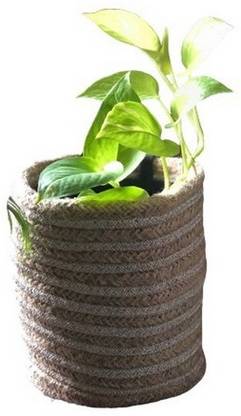 PartyStuff Plant Container Set