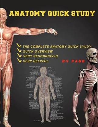 anatomy quick study