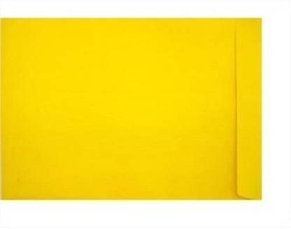 AbhaPrint Envelope Size A4 Yellow Letter Size Envelopes Ideal For Home Office Secure Mailing - (50Pcs) Envelopes
