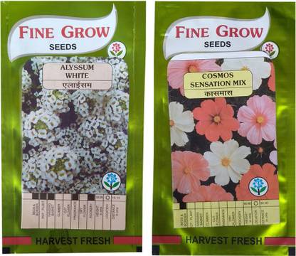 Anand vatika Alyssum White And Cosmos sensation Mix Seed
