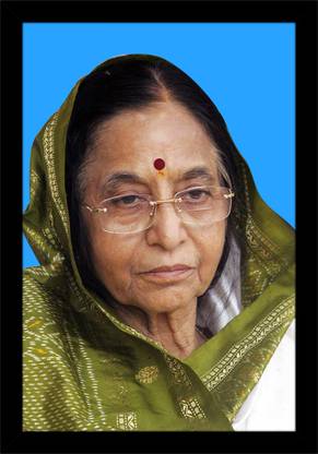 Art collection pratibha Patil Photo Frame Ink 19 inch x 13 inch Painting
