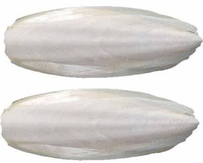 SriSatymev Natural Calcium Source Cuttlebone - Birds, Parrot (500g) 0.5 kg Dry Young Bird Food