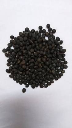 GCS Kantola Seeds Spiny Spine Gourd Seed