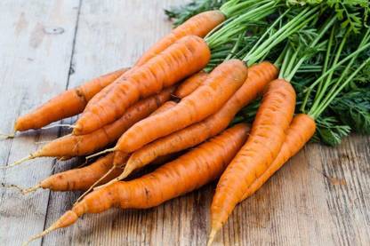 VibeX carrot Seed