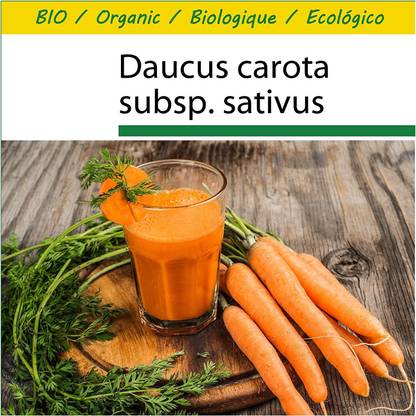 VibeX Carrot Seed