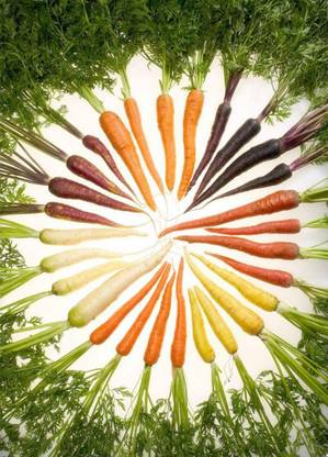 VibeX Carrot Seeds Healthy Organic Sugar Carrot Seeds Seed