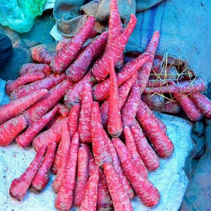 VibeX XII-780-Pusa Rudhira Red Carrot Seeds Seed