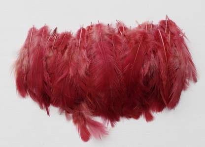 handymandy store Pack of 100 Decorative Feathers