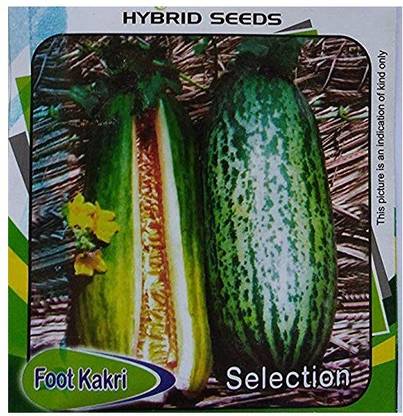 VibeX IARI-69-Foot Kakri Seeds Seed