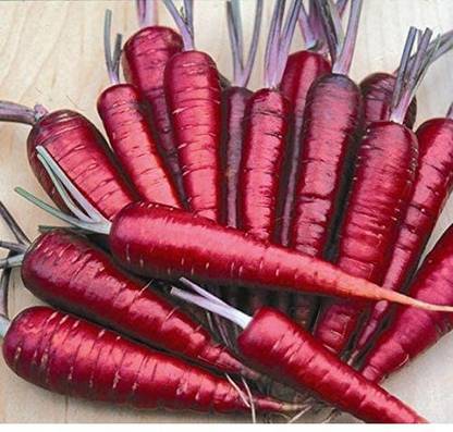 VibeX XLI-986-Rainbow Carrot Seeds Lose Weight Seed