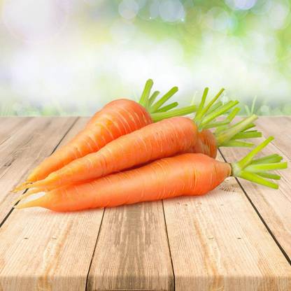 VibeX XLI-1330-Carrot Portugal Natural Without Chemical Growing Seed