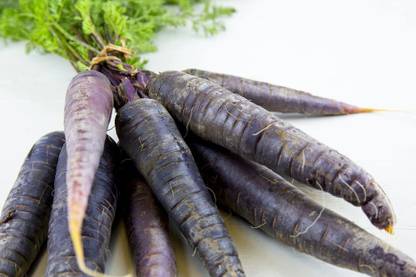 VibeX VXI-1143-Carrot 'Purple Haze' Seeds Seed