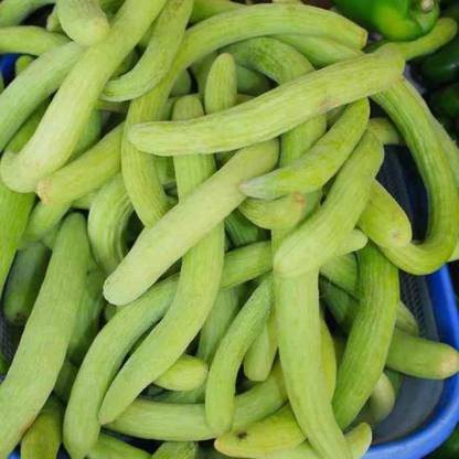 VibeX Kakri Seed