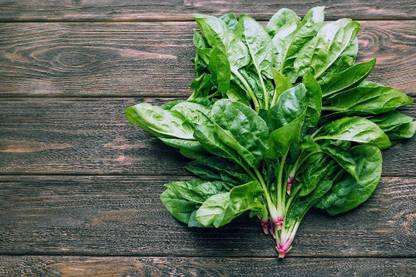 VibeX ™ CBZ-127-Spinach - Giant Winter - Spinacia oleracea Seed