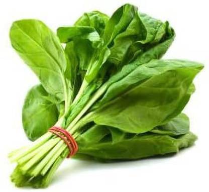 VibeX RDX-851-Microgreens Spinach Palak Leaf Seeds Seed