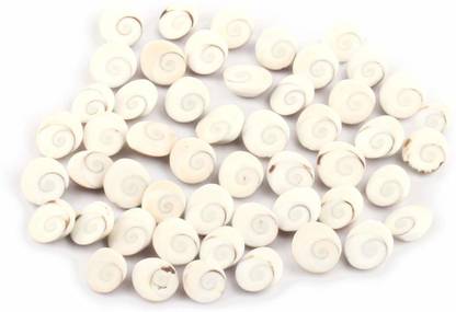 dorvik collections Gomti Chakra (21 Pieces) for Brings Prosperity, Happiness, Good Health & Wealth, Protect Children from evil effects and increasing your Spirituality Decorative Showpiece Decorative Showpiece  -  2 cm