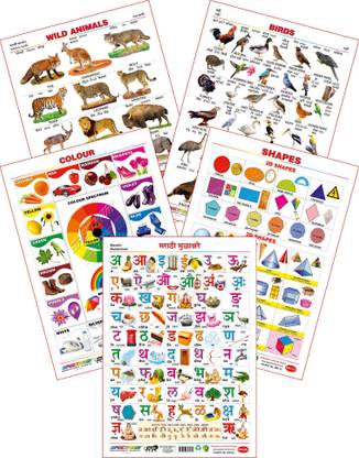 Spectrum Set of 5 Educational Large Wall Charts : ( Wild Animals , Birds , Colours , Shapes & Marathi Mulakshare )