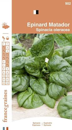 VibeX ™ XII-1675-Matador Spinach France Graines Seed