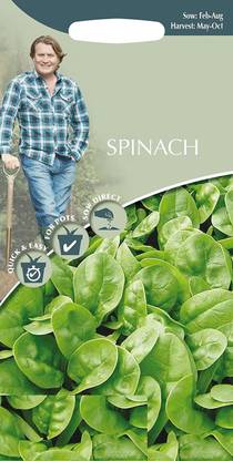 VibeX ™ RDX-441-Vegetable - Spinach Samish F1 Seed Seed