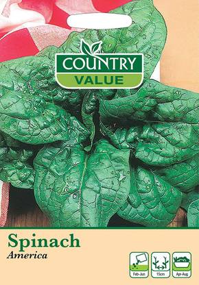 VibeX ™ CBZ-1617-Spinach Seeds America Seed