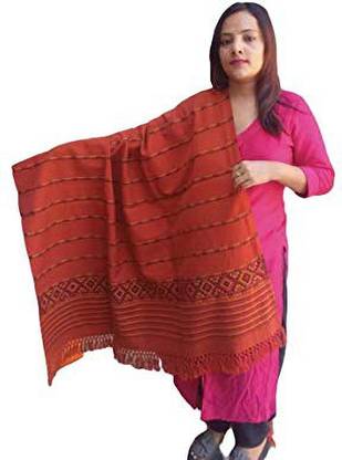 ARUNA KULLU HANDLOOM Pashmina Embroidered Women Shawl