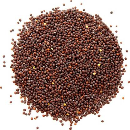FOOD STUFF Mustard Seed / Rai