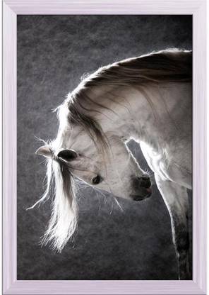 Artzfolio ArtzFolio White Andalusian Horse on a Dark Background Tabletop Painting White Frame 6inch x 8.5inch (15.2cms x 21.7cms) Digital Reprint 7 inch x 9 inch Painting