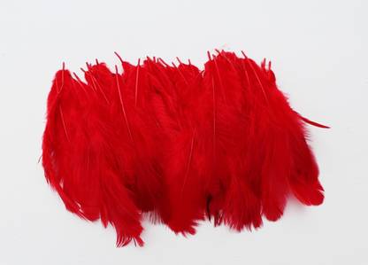 handymandy store Pack of 200 Decorative Feathers