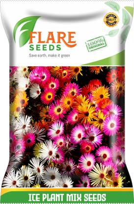 FLARE SEEDS ICE PLANT MIX Seed