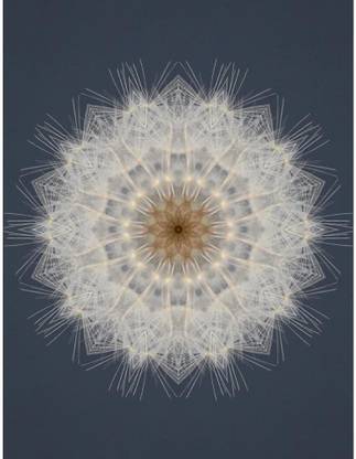 Artzfolio Kaleidoscope Background Abstract Tile Effect Unframed Premium Canvas Painting 12inch x 15.7inch (30.5cms x 39.9cms) Digital Reprint 12.5 inch x 16.2 inch Painting