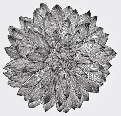Artzfolio Artwork of Black Dahlia Flower Unframed Premium Canvas Digital Reprint 48.5 inch x 50.6 inch Painting