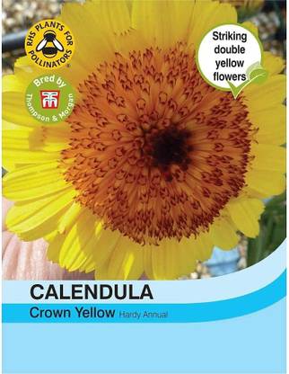 DIOART ® GBPT-143-Flower - Calendula Snow Princess - Seeds-25 x Seeds Seed