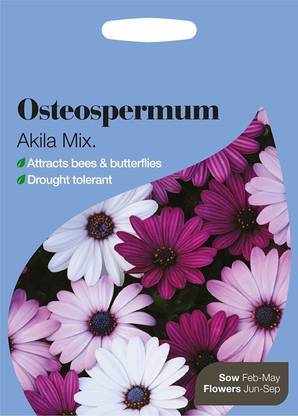 VibeX ® IMP-540-Osteospermum Akila Mix Seed