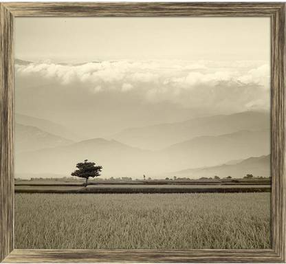 Artzfolio Beautiful Paddy Place Canvas Painting Antique Golden Synthetic Frame 13.2inch x 12inch (33.4cms x 30.5cms) Digital Reprint 12 inch x 13.2 inch Painting