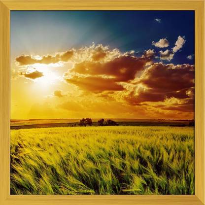 Artzfolio Orange Sunset Over Green Field Canvas Painting Golden Synthetic Frame 28inch x 28inch (71.1cms x 71.1cms) Digital Reprint 28 inch x 28 inch Painting