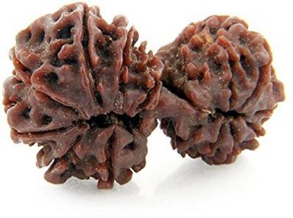 रुद्रम Gauri shankar original rudraksha/ Gauri shankar 13 mukhi original rudraksha लकड़ी पेंडेंट