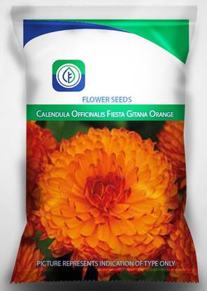 VibeX Mixed Calendula Mixed Colour F1 Hybrid Flower Seed