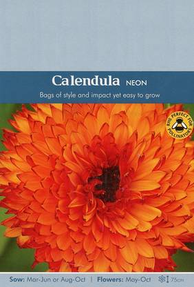 CYBEXIS Imported Calendula Officinalis ‘Candyman Orange’ (English Marigold) Seed