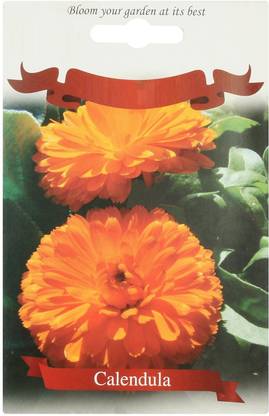 VibeX Seeds Calendula Officinalis L. Orange Gitana flower Seed