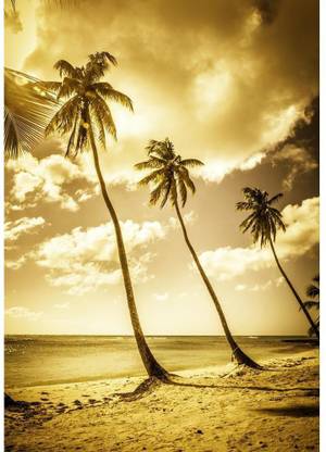 Artzfolio Digital Reprint 12.5 inch x 17.7 inch Painting