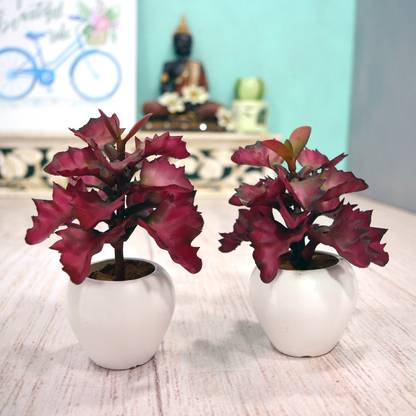 Flipkart Perfect Homes Cactus Artificial Plant  with Pot
