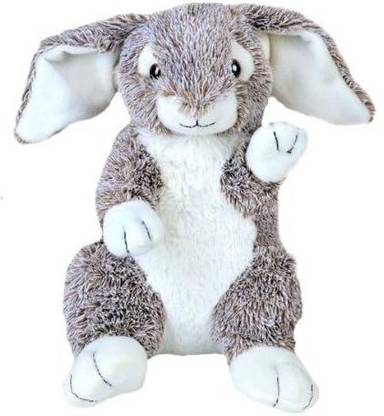 BEAREGARDS.COM Personal Recordable Plush 15" Talking Bunny Rabbit  - 15 inch