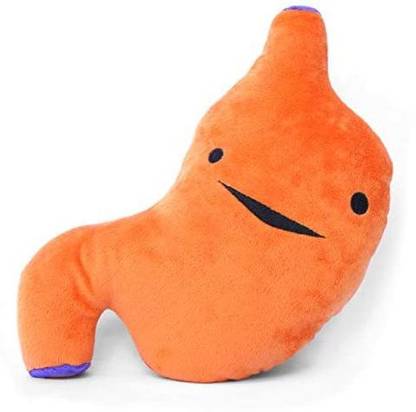 I Heart Guts Stomach Plush I Ache for You 10" Yummy Gastric Stuffed Toy  - 3 inch