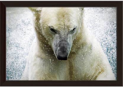 Polarbear At The Augsburger Zoo Germany Paper Print