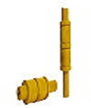 foxxdon hgfhgh Standard Bail