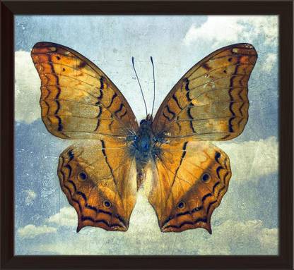 Artzfolio Double Effect Butterfly Background Image D2 Tabletop Painting Dark Brown Frame 10.9inch x 10inch (27.6cms x 25.4cms) Digital Reprint 10.5 inch x 11.4 inch Painting