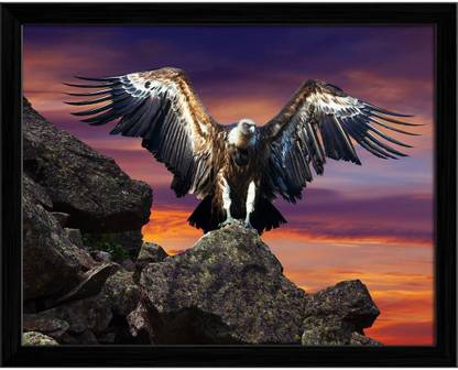 Artzfolio Condor Sitting On Stone Against Sunset Sky Canvas Painting Black Wooden Frame 25.5inch x 20inch (64.7cms x 50.8cms) Digital Reprint 20.5 inch x 26 inch Painting