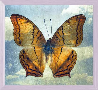 Artzfolio ArtzFolio Double Effect Butterfly Background Image D2 Tabletop Painting White Frame 8.7inch x 8inch (22.1cms x 20.3cms) Digital Reprint 8.5 inch x 9.2 inch Painting